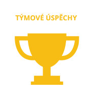 Týmové úspěchy